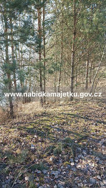 Prodej pozemku 15 625 m² — photo 2