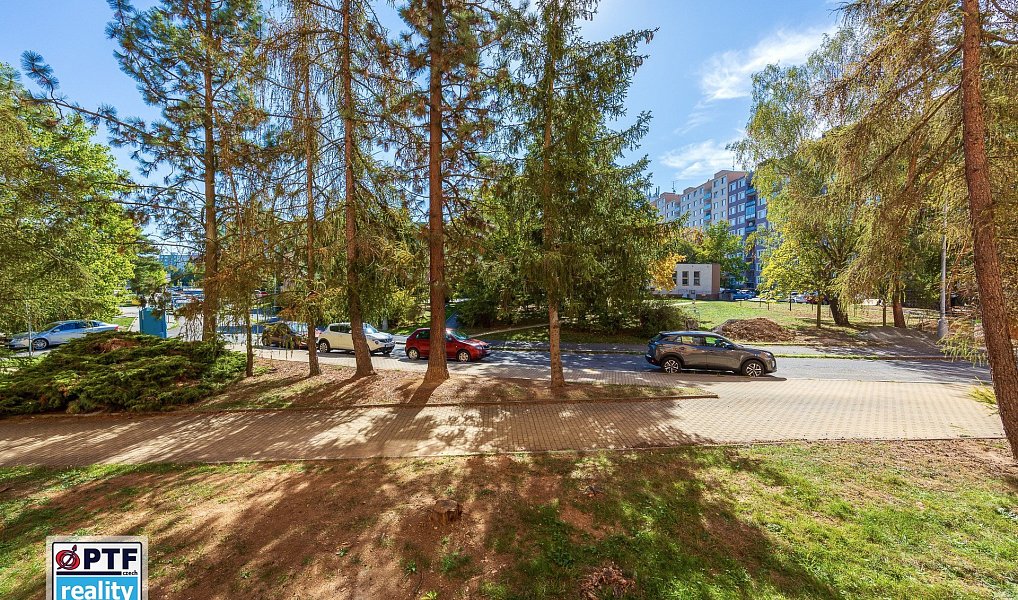 Prodej bytu 1+1 40 m², Plzeň – náhled fotky 8
