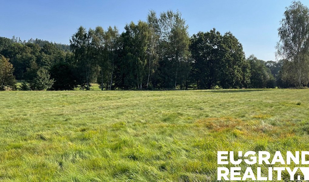 Prodej louky 14 798 m², Šluknov – náhled fotky 3