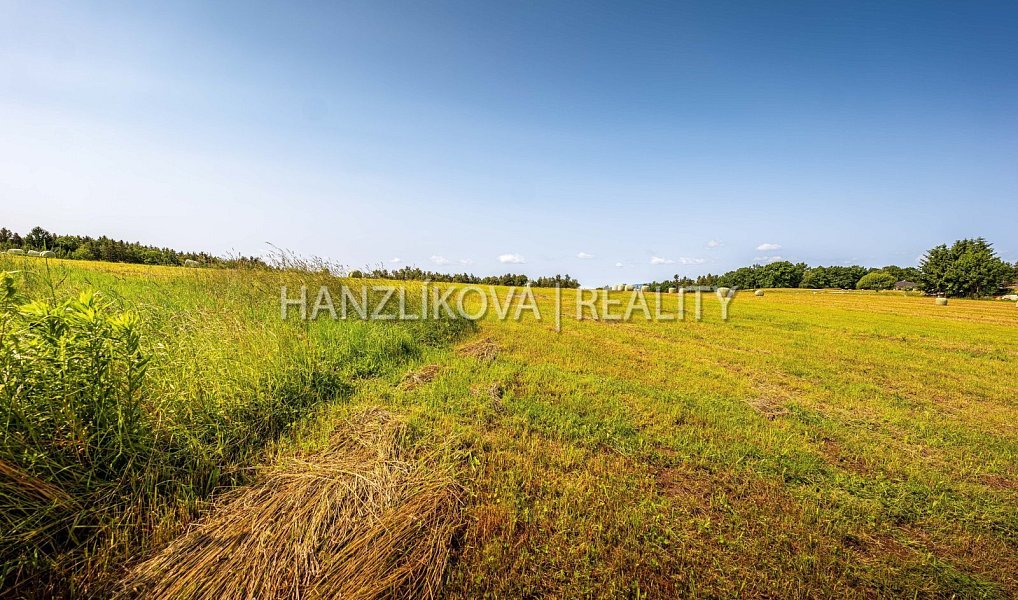 Prodej stavebního pozemku 4 385 m², Dubičné – náhled fotky 8