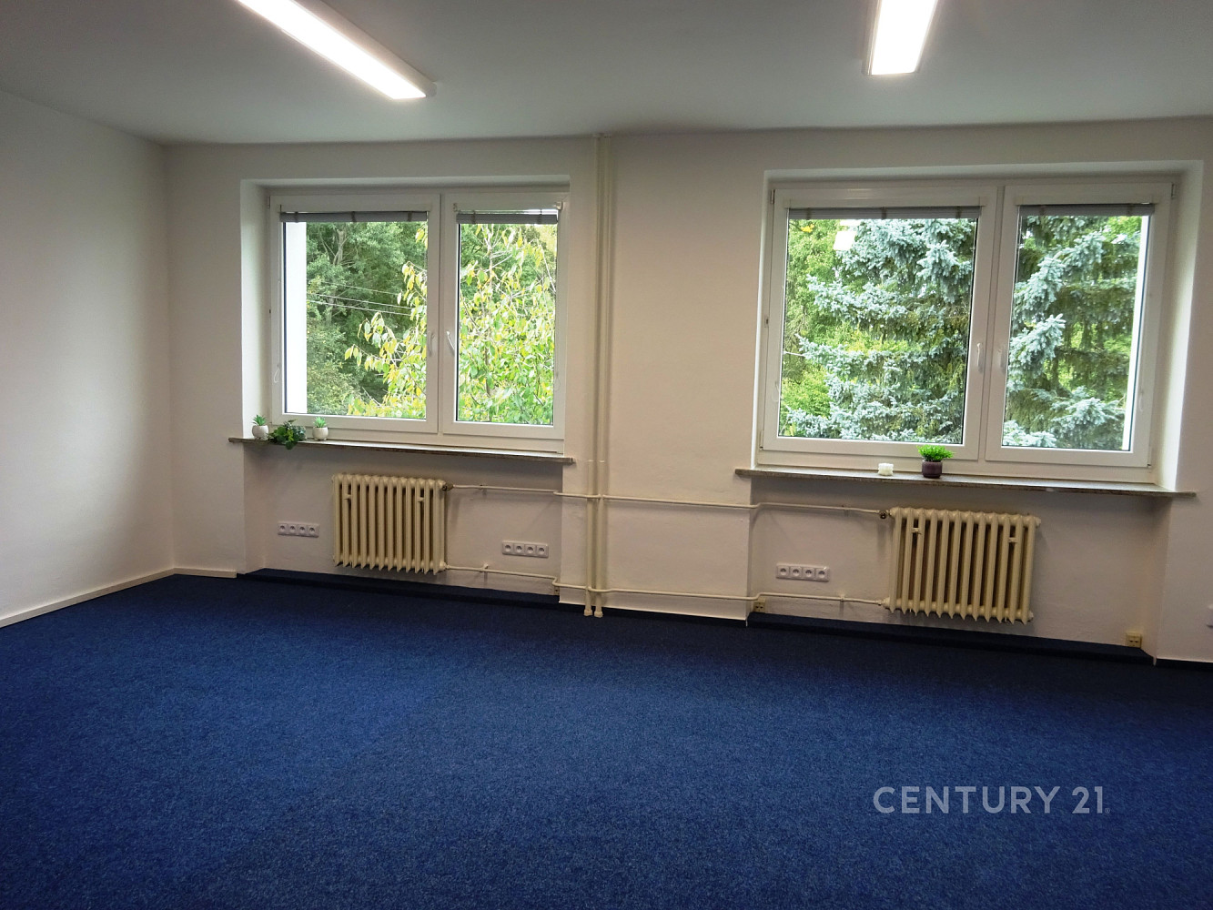 Pronájem kanceláře 32 m² — photo 3