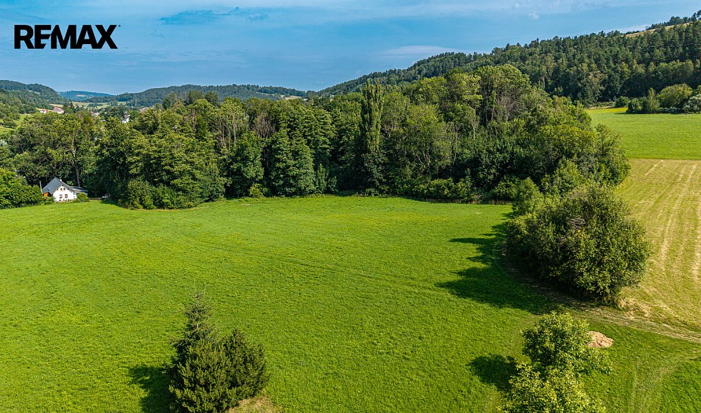Prodej louky 36 931 m², Mírová pod Kozákovem – náhled fotky 3