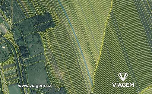 Prodej pole 4 850 m², Velká nad Veličkou, okres Hodonín