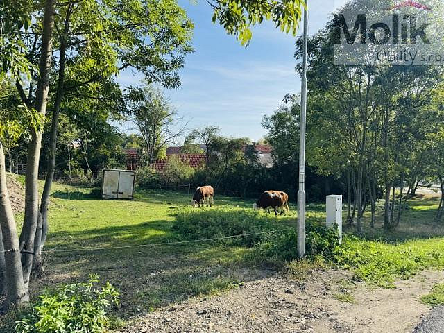 Prodej stavebního pozemku 852 m² – fotografie 2