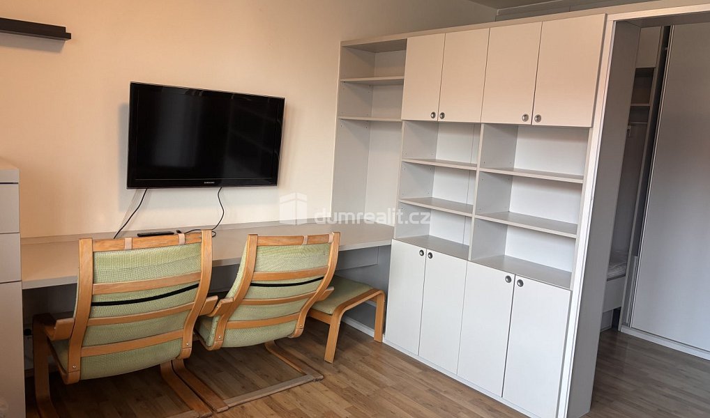 Pronájem bytu 1+kk 35 m², Praha – náhled fotky 4