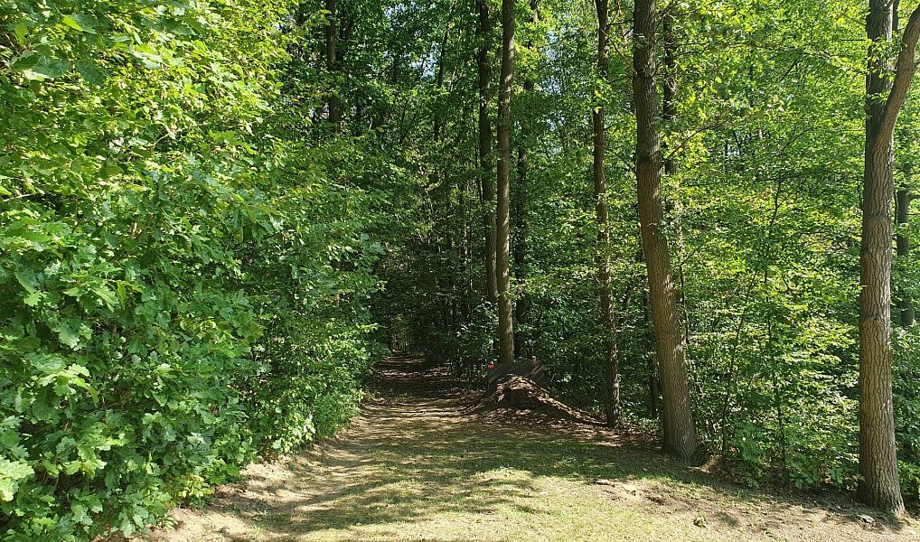 Prodej domu 207 m² s pozemkem 657 m², Rataje nad Sázavou – náhled fotky 8