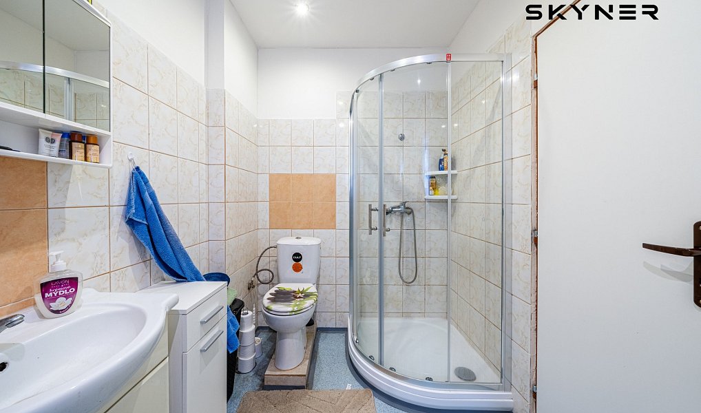 Prodej domu 310 m² s pozemkem 781 m², Telnice – náhled fotky 8