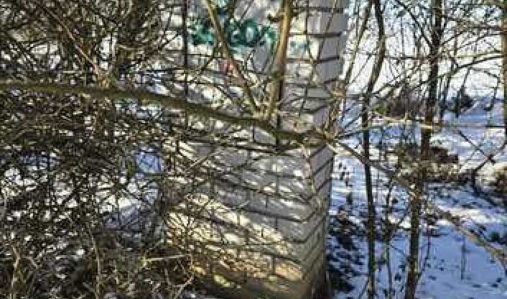 Prodej komerčního pozemku 6 110 m², Ořech – náhled fotky 6