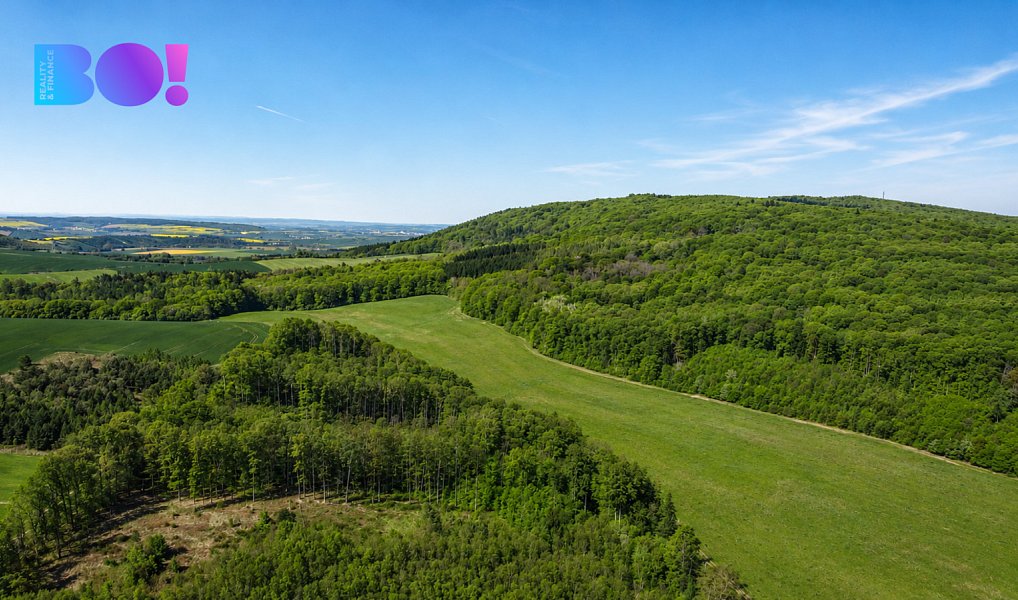 Prodej pozemku 512 m², Zástřizly – náhled fotky 2