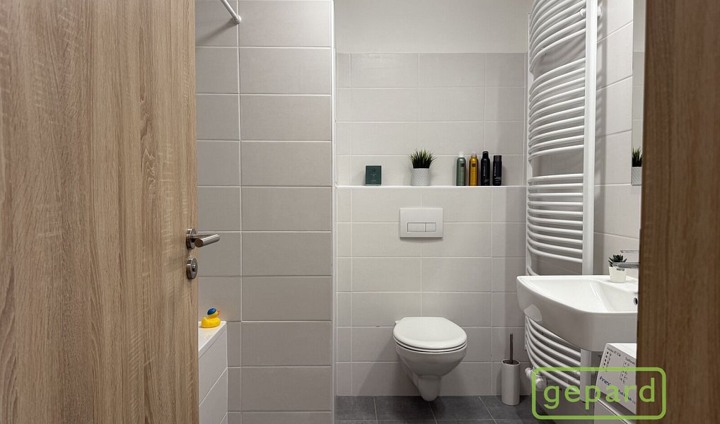 Pronájem bytu 1+1 41 m², Olomouc – náhled fotky 5