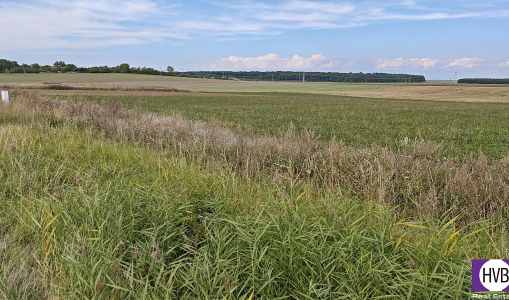 Prodej stavebního pozemku 3 767 m², Bělušice – náhled fotky 5