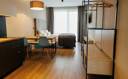 Pronájem bytu 1+kk 32 m², Pallova, Plzeň