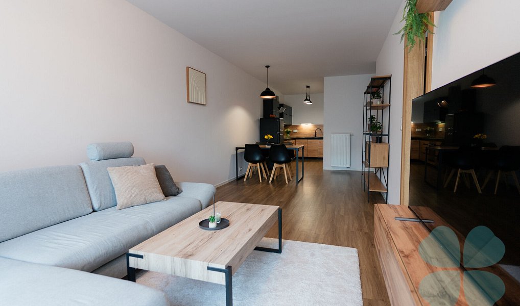 Pronájem bytu 2+kk 67 m², Plzeň – náhled fotky 7