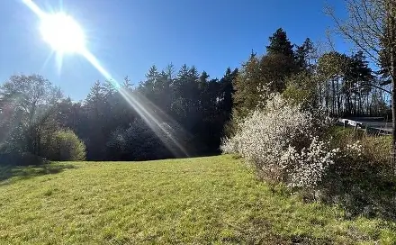 Prodej stavebního pozemku 3 287 m², Blansko
