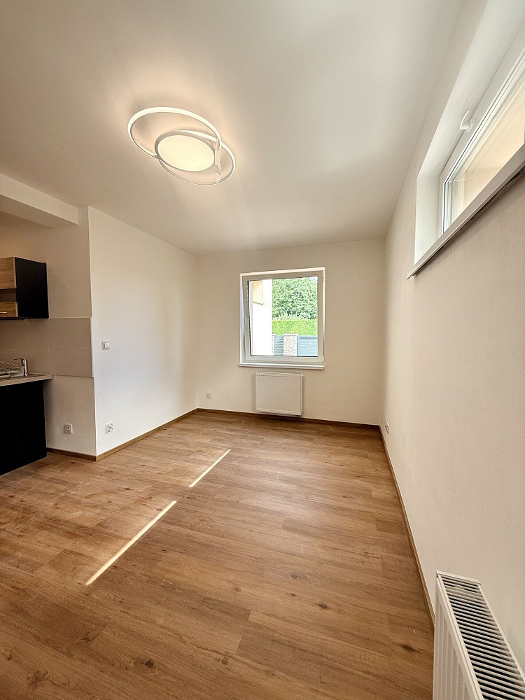Pronájem bytu 3+kk 48 m² — photo 2