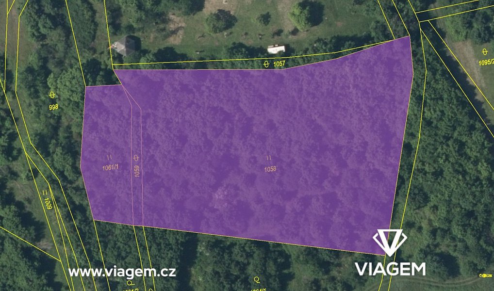 Prodej lesa 1 311 m², Žitenice – náhled fotky 4