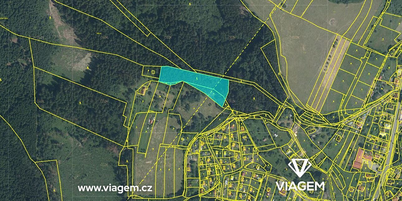 Prodej lesa 1 672 m² – pohled 4