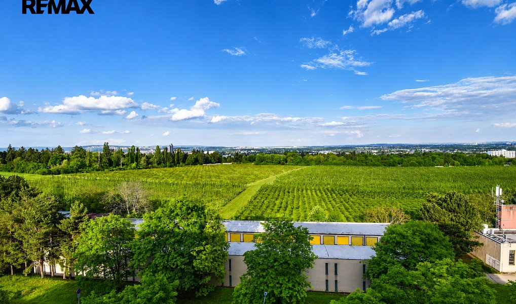 Prodej bytu 2+kk 46 m², Brno – náhled fotky 8