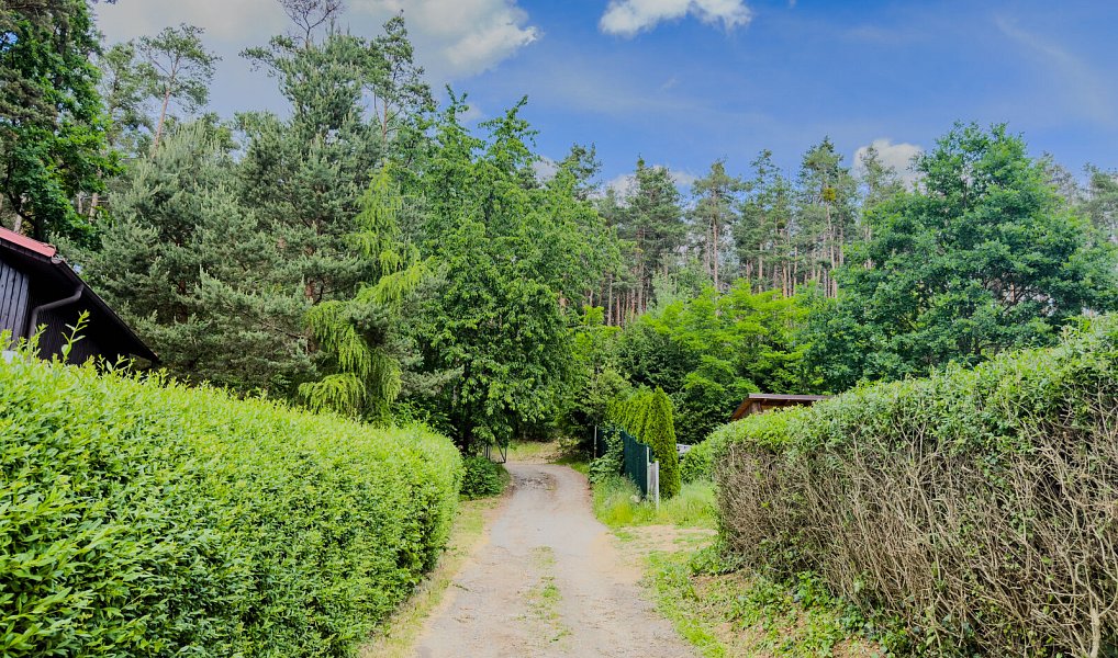 Prodej chaty/chalupy 30 m² s pozemkem 188 m², Nalžovice – náhled fotky 10