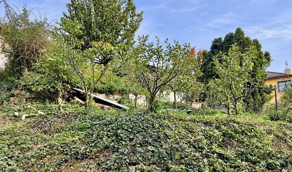 Prodej domu 135 m² s pozemkem 599 m², Praha – náhled fotky 32