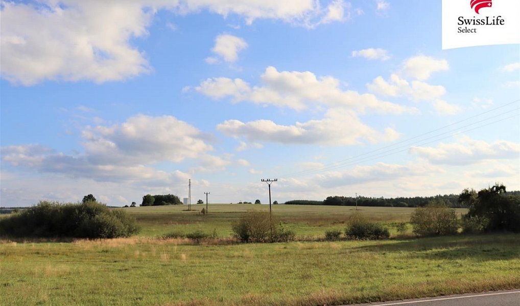 Prodej stavebního pozemku 4 297 m², Všemyslice – náhled fotky 6