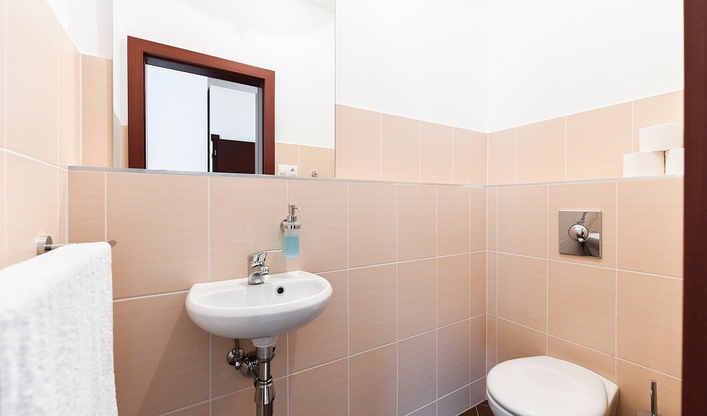 Prodej bytu 4+kk 135 m², Praha – náhled fotky 22