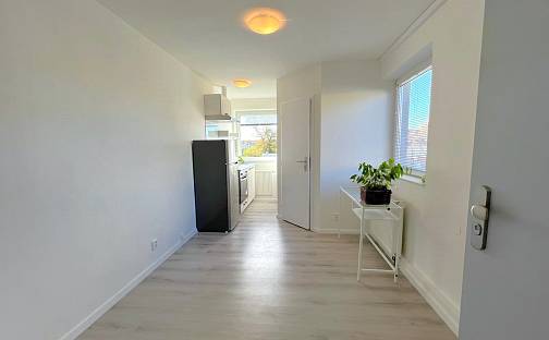 Pronájem bytu 1+kk 18 m², Čsl. armády, Hostivice, okres Praha-západ