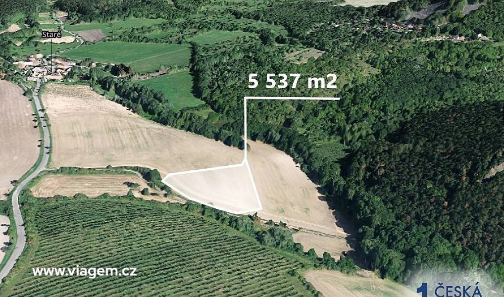 Prodej pole 2 768 m², Třebívlice – náhled fotky 2