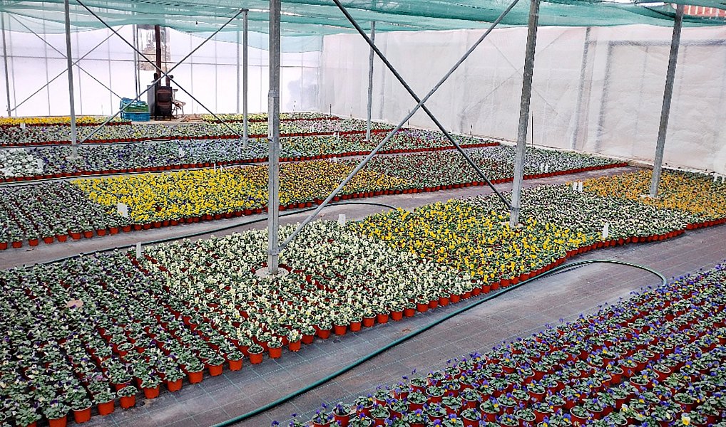 Prodej komerčního objektu (jiného typu) 956 m², Miřetice – náhled fotky 5