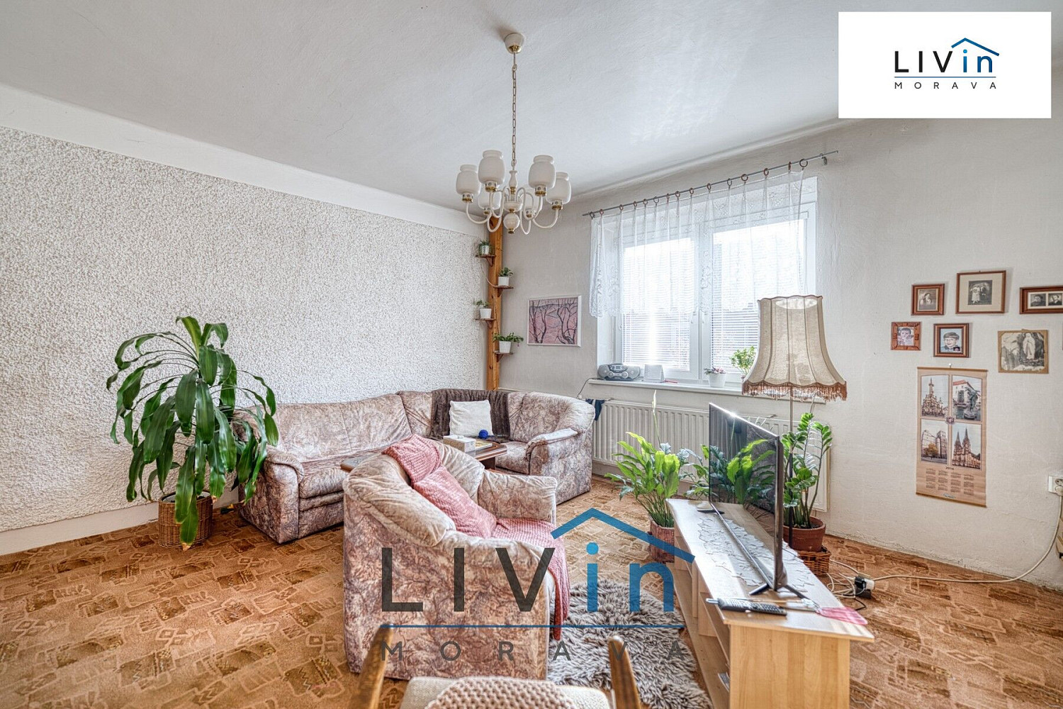 Fotka 15 z 30