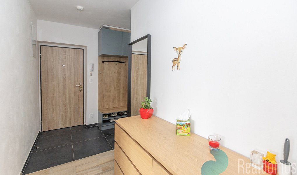 Pronájem bytu 2+1 56 m², Zruč nad Sázavou – náhled fotky 6
