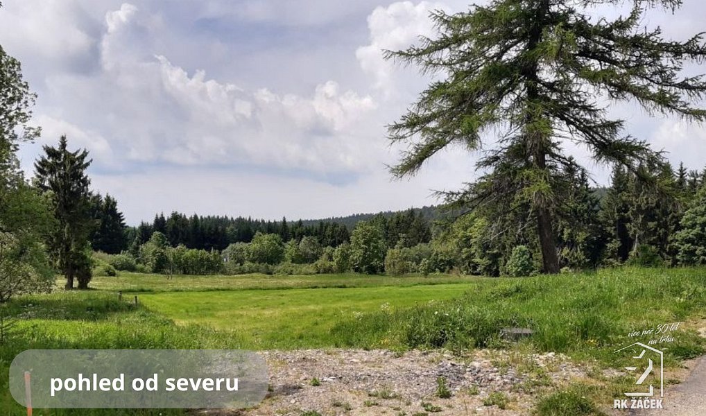 Prodej stavebního pozemku 2 479 m², Přední Výtoň – náhled fotky 6