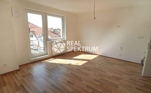 Prodej bytu 3+kk 67 m², Táborská, Brno - Židenice