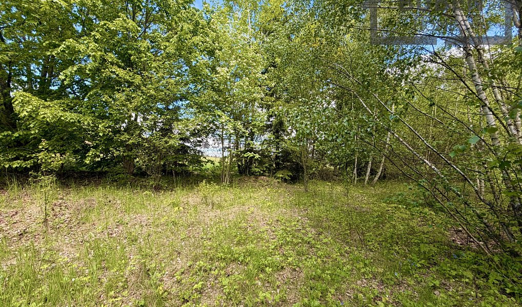 Prodej stavebního pozemku 435 m², Lestkov – náhled fotky 7