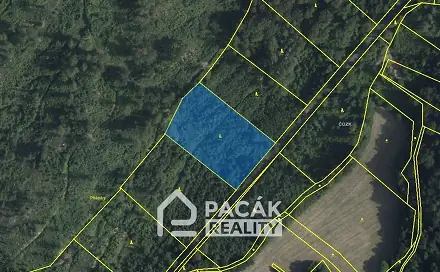 Prodej lesa 41 845 m², Dolany, okres Olomouc