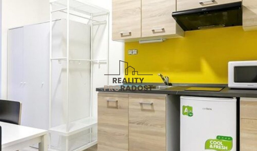 Pronájem bytu 2+1 33 m², Brno – náhled fotky 3