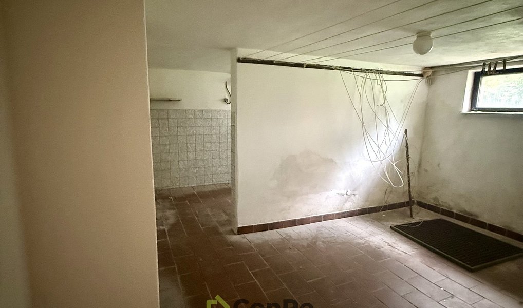 Prodej domu 297 m² s pozemkem 2 452 m², Provodín – náhled fotky 18