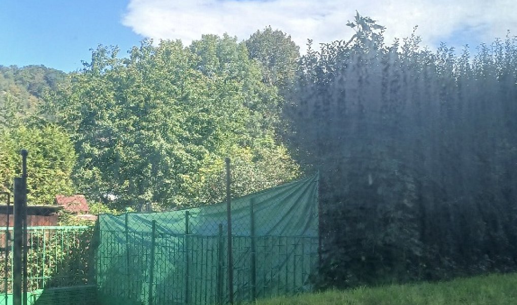 Prodej bytu 2+kk, Libčice nad Vltavou – náhled fotky 5