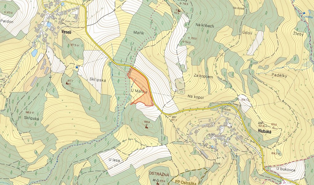 Prodej louky 12 868 m², Dalečín – náhled fotky 3