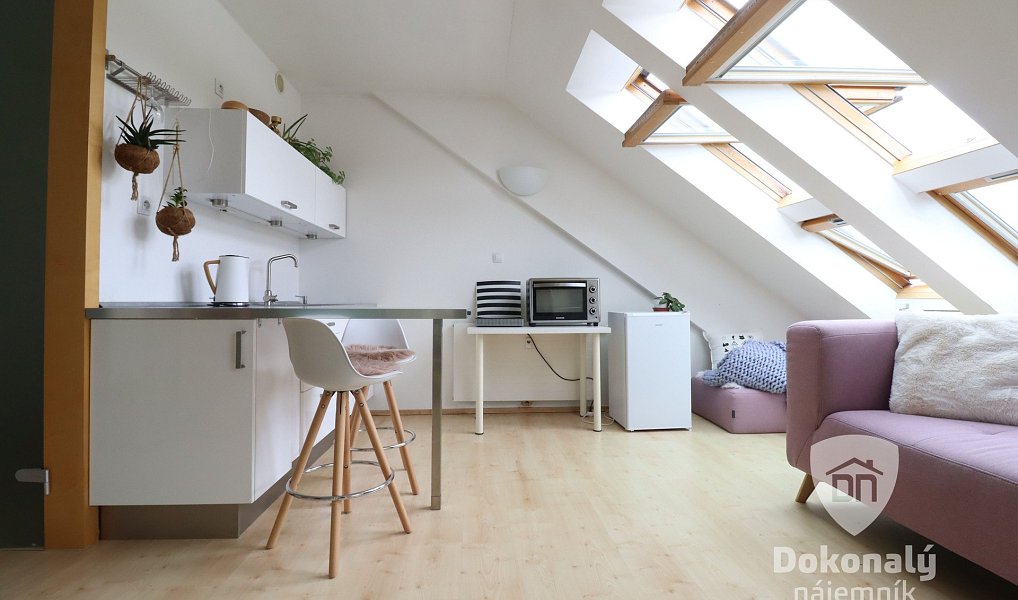Pronájem bytu 1+kk 45 m², Praha – náhled fotky 5