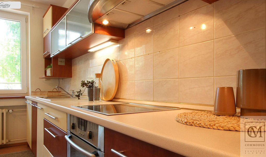 Prodej domu 237 m² s pozemkem 195 m², Brno – náhled fotky 5