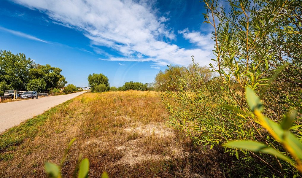 Prodej komerčního pozemku 4 744 m², Hůry – náhled fotky 5