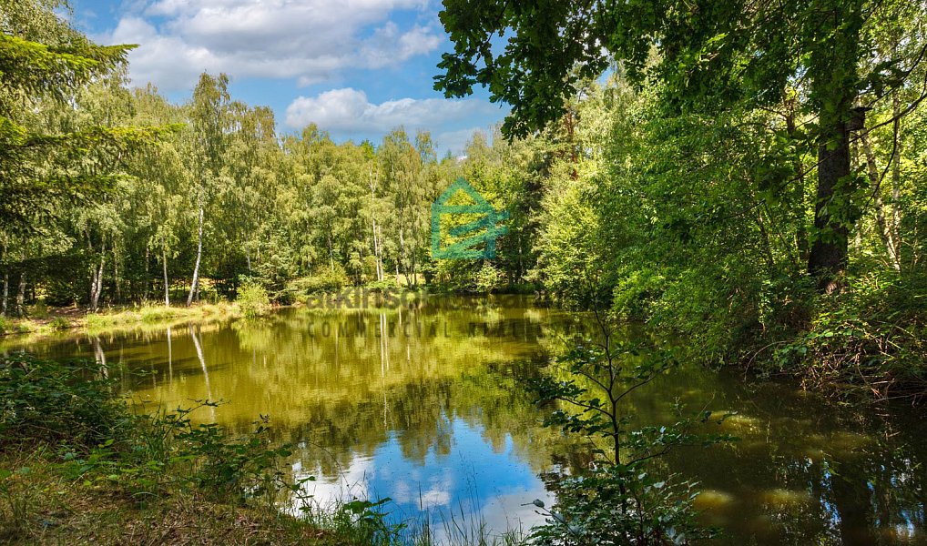 Prodej pozemku 6 805 m², Benešov nad Černou – náhled fotky 11