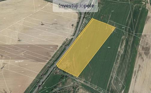 Prodej pole 1 746 m², Kostelec nad Černými lesy, okres Praha-východ