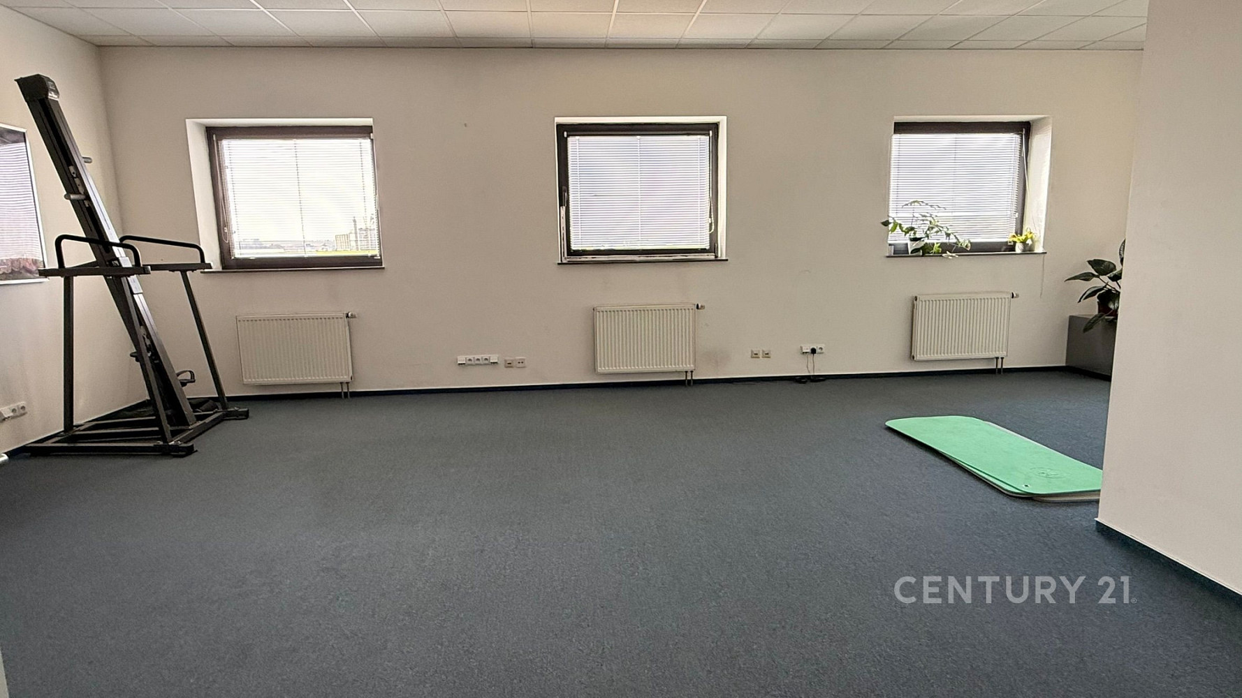 Pronájem kanceláře 450 m² – fotografie 5