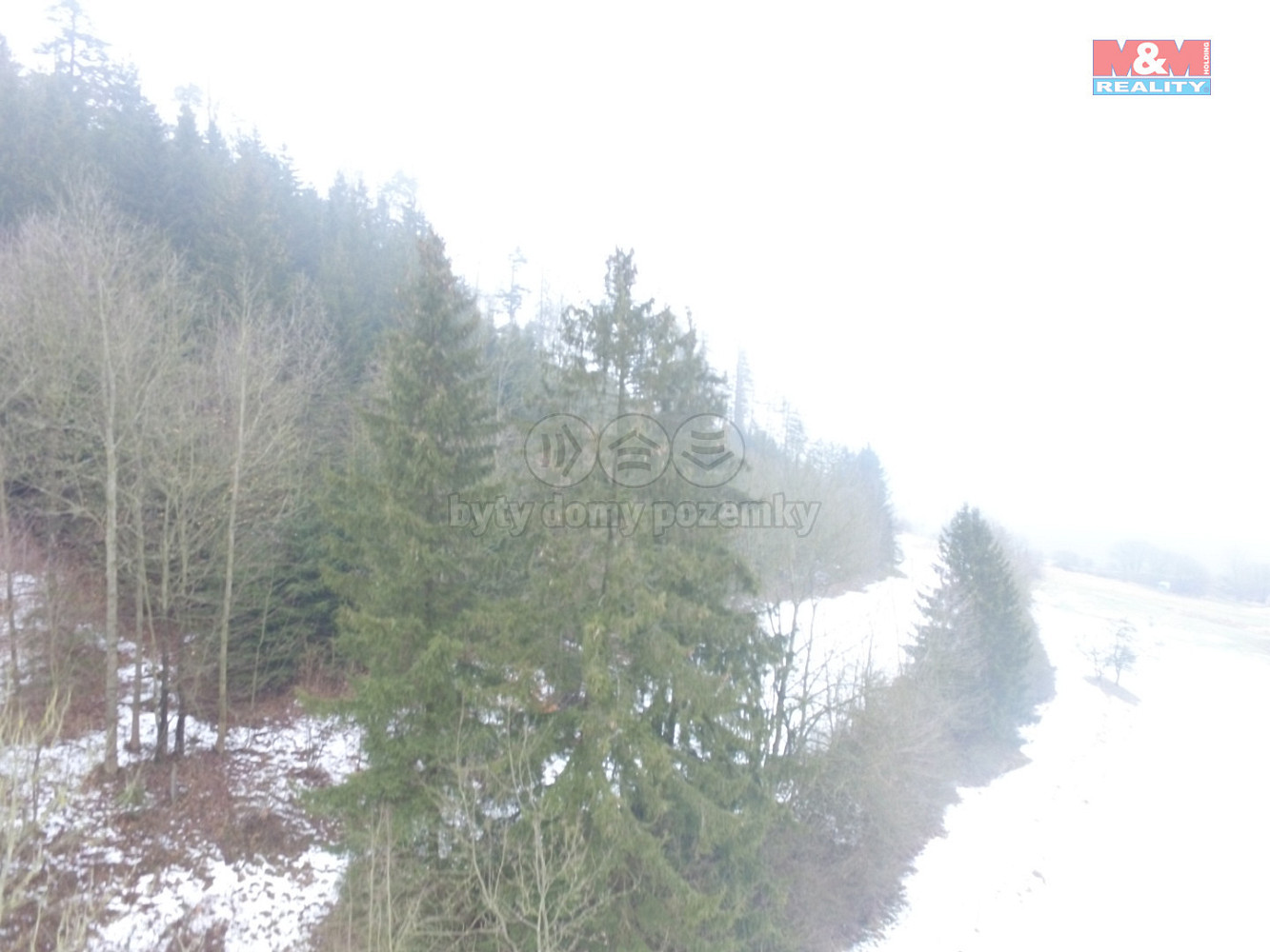 Prodej lesa 89 634 m² – fotografie 3