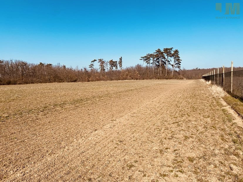 Prodej zahrady 7 000 m² – fotografie 2
