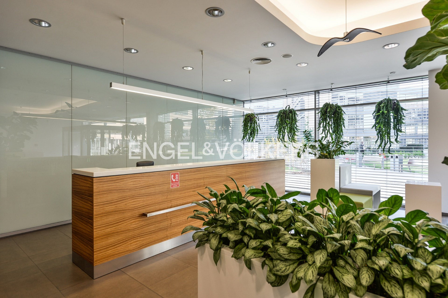 Pronájem kanceláře 1 145 m² – fotografie 4