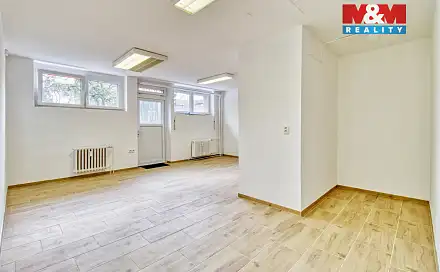 Prodej obchodních prostor 34 m², Javorová, Most