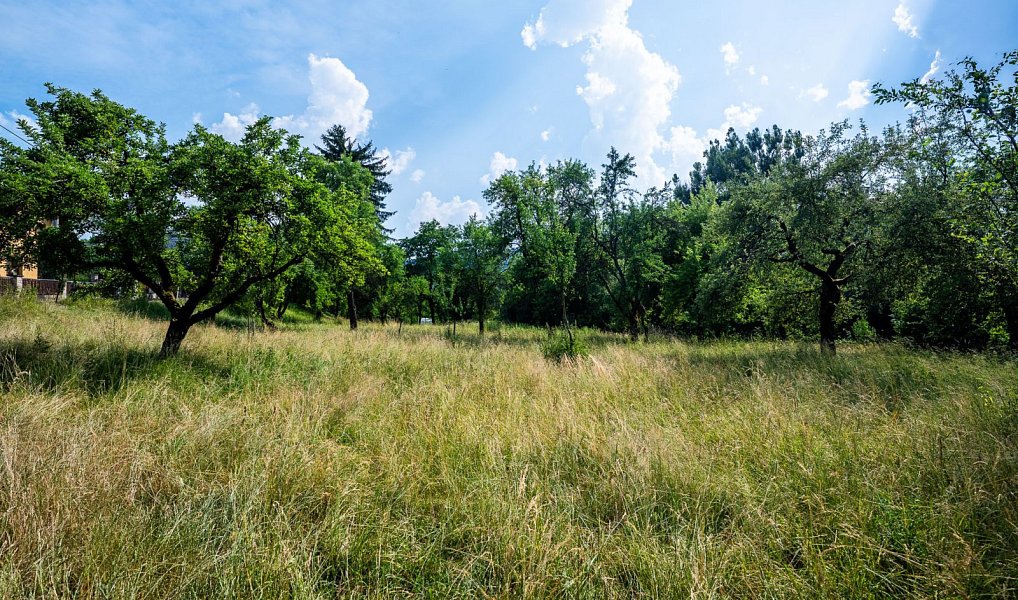 Prodej stavebního pozemku 2 790 m², Valašské Klobouky – náhled fotky 7